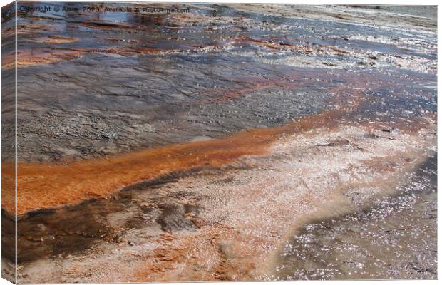 Sulfur Geysers at Yellowstone national park in Wyoming USA Canvas Print by Arun 