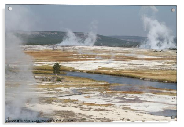 Geysers at Yellowstone national park in Wyoming USA Acrylic by Arun 