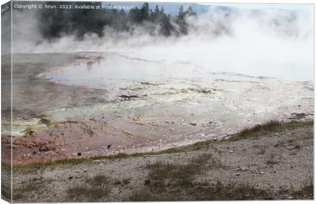 Geysers at Yellowstone national park in Wyoming USA Canvas Print by Arun 