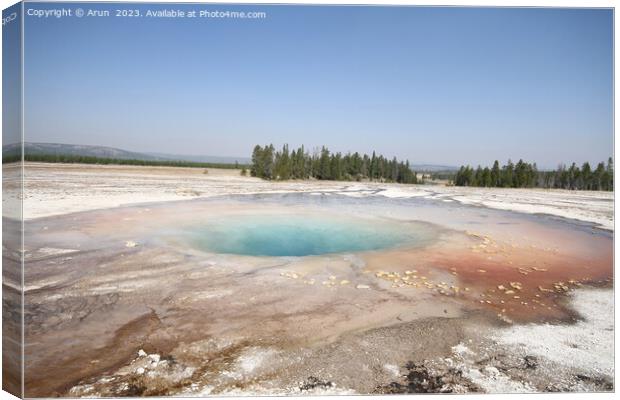 Geysers at Yellowstone national park in Wyoming USA Canvas Print by Arun 