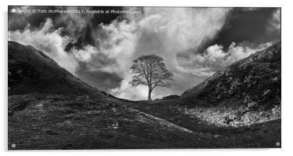 Sycamore Gap Acrylic by Tom McPherson