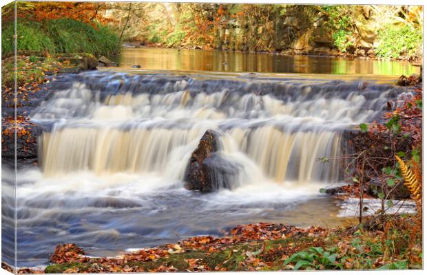 Woodland waterfall in autumn. Canvas Print by David Birchall