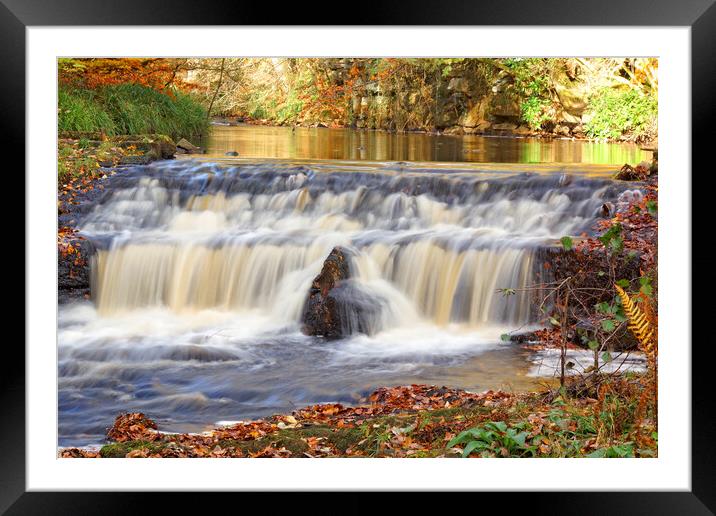 Woodland waterfall in autumn. Framed Mounted Print by David Birchall