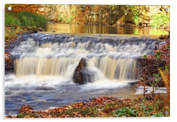 Woodland waterfall in autumn. Acrylic by David Birchall