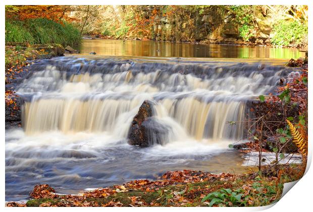 Woodland waterfall in autumn. Print by David Birchall