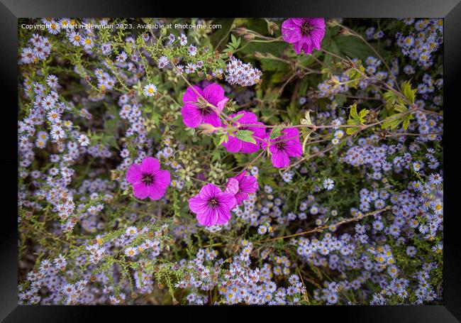 Wildflower Garden Framed Print by Martin Newman