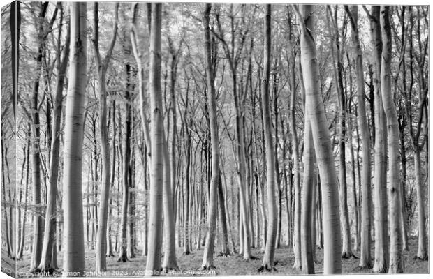 woodland in monochrome Canvas Print by Simon Johnson