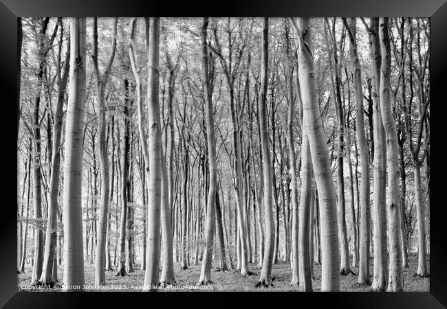 woodland in monochrome Framed Print by Simon Johnson