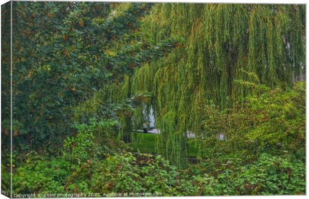 Willow Tree and Layers. Canvas Print by 28sw photography