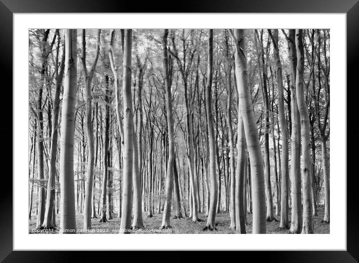 woodland in monochrome Framed Mounted Print by Simon Johnson