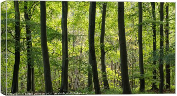 Plant tree Canvas Print by Simon Johnson