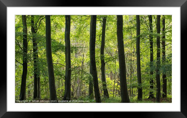 Plant tree Framed Mounted Print by Simon Johnson