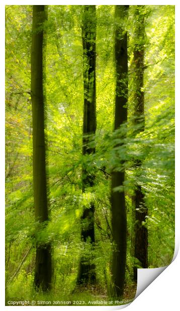 sunlit leaves and trees Print by Simon Johnson