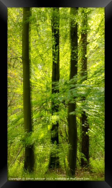 sunlit woodland and leaves Framed Print by Simon Johnson