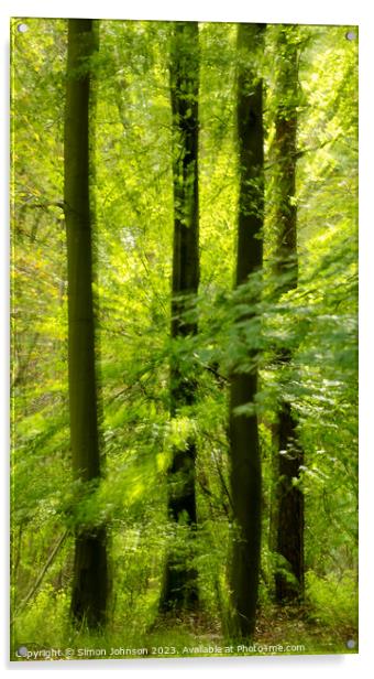 sunlit woodland and leaves Acrylic by Simon Johnson