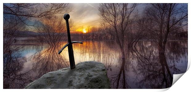 The sword in the stone at Llangorse Lake Print by Leighton Collins