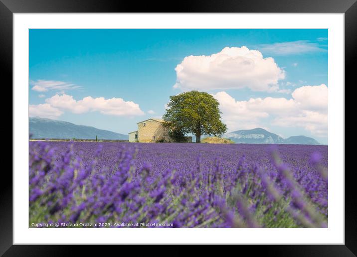 Lavender field, a house, and a tree. Provence, France Framed Mounted Print by Stefano Orazzini