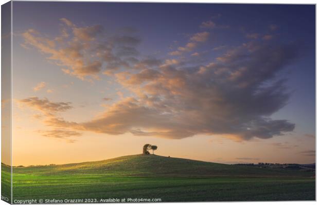 Tuscany, Maremma landscape. Old windmill and trees on top of the Canvas Print by Stefano Orazzini