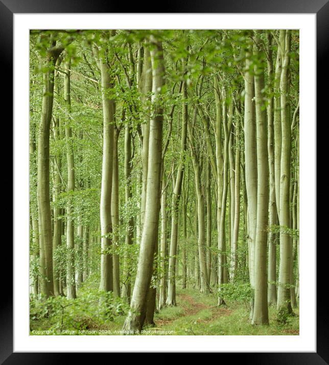 Plant leaves Framed Mounted Print by Simon Johnson