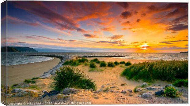 Sand Grass and Sky Canvas Print by Mike Shields