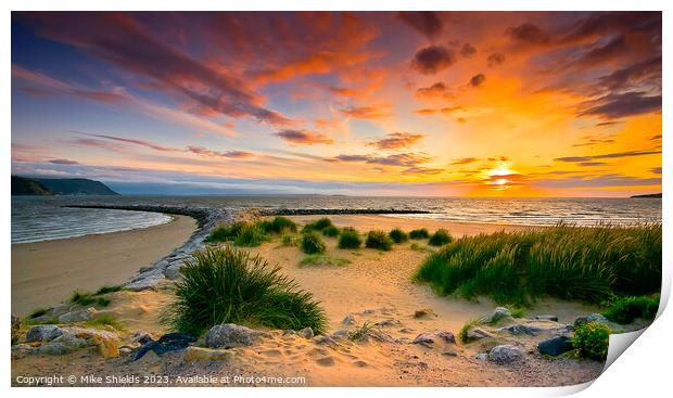 Sand Grass and Sky Print by Mike Shields