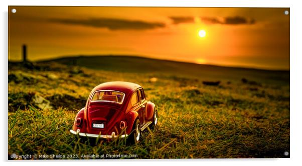Beetle at Sunset Acrylic by Mike Shields