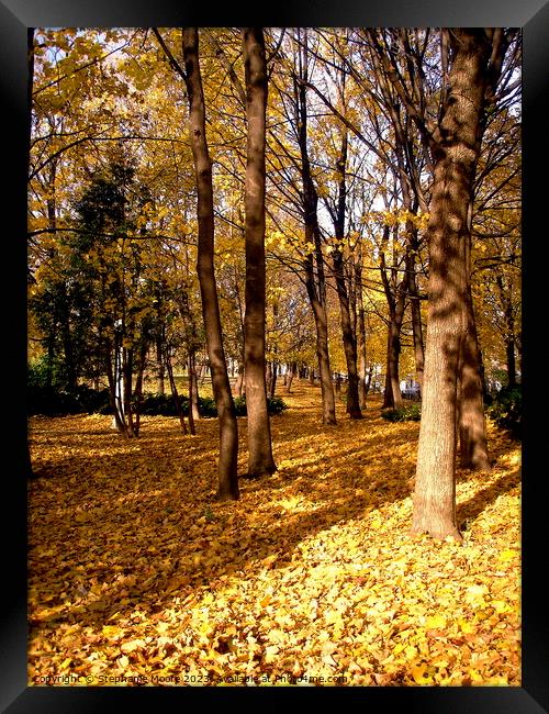Golden Fall Framed Print by Stephanie Moore