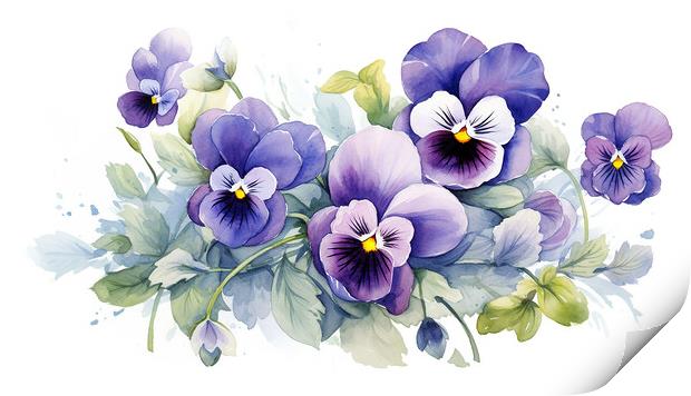 Watercolour Pansies Print by Steve Smith