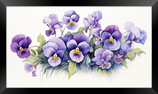 Watercolour Violas Framed Print by Steve Smith