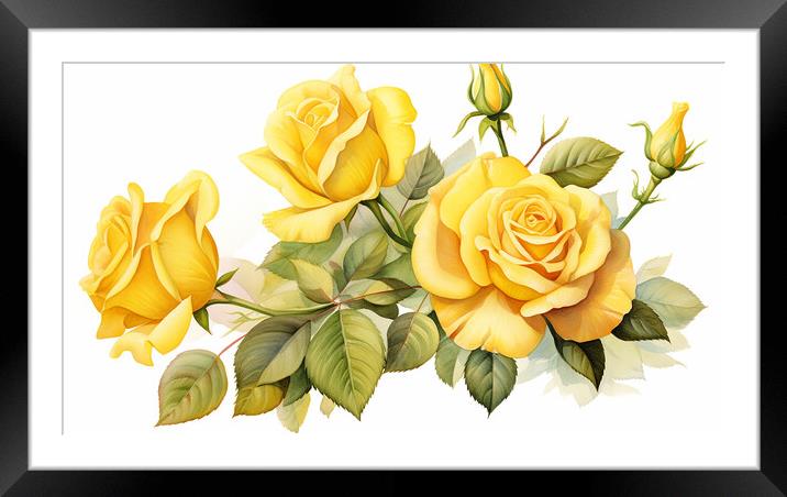Watercolour Yellow Roses Framed Mounted Print by Steve Smith