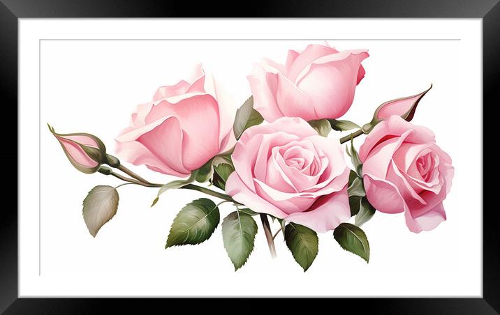 Watercolour Pink Roses Framed Mounted Print by Steve Smith