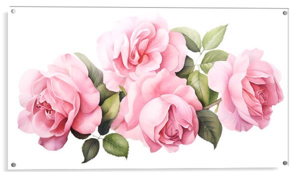 Watercolour Pink Roses Acrylic by Steve Smith