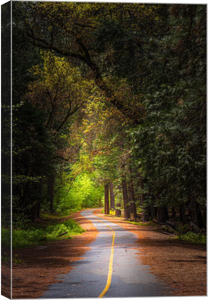 Follow The Yellow Stripe Road Canvas Print by Gareth Burge Photography