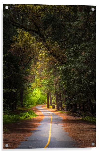 Follow The Yellow Stripe Road Acrylic by Gareth Burge Photography