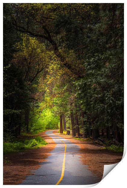 Follow The Yellow Stripe Road Print by Gareth Burge Photography