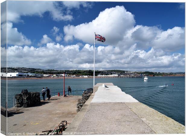 Flying the Flag for Paignton Canvas Print by Stephen Hamer