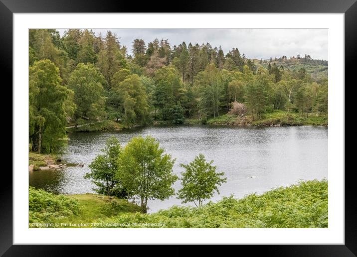 Tan Hows Lake District Cumbria  Framed Mounted Print by Phil Longfoot