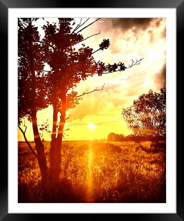 A tree with a sunset in the background Framed Mounted Print by Matthew Balls