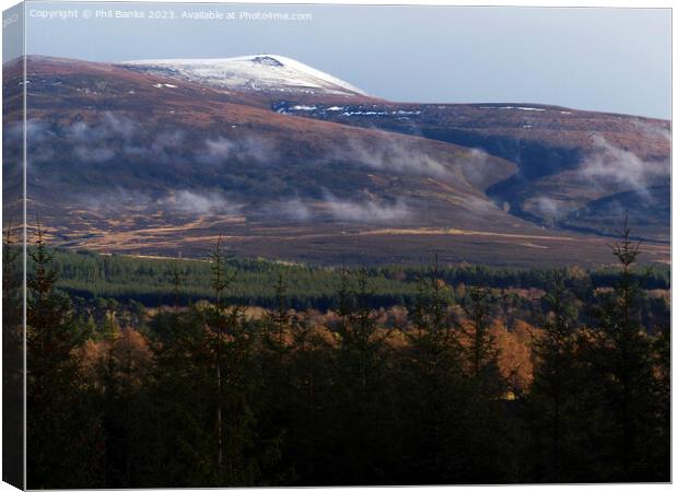 Autumn to Winter on the hill Canvas Print by Phil Banks