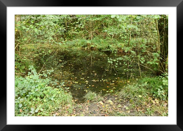 Small pond in the Tyn y Coed Woodlands near Cardiff South Wales Framed Mounted Print by Nick Jenkins