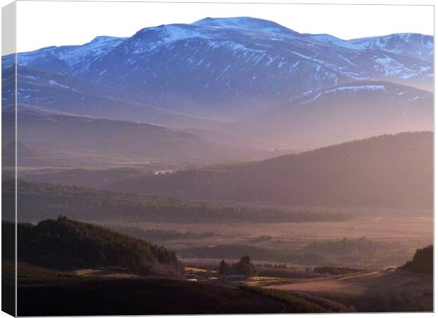 Abernethy Forest and Cairngorm -  evening shadows Canvas Print by Phil Banks
