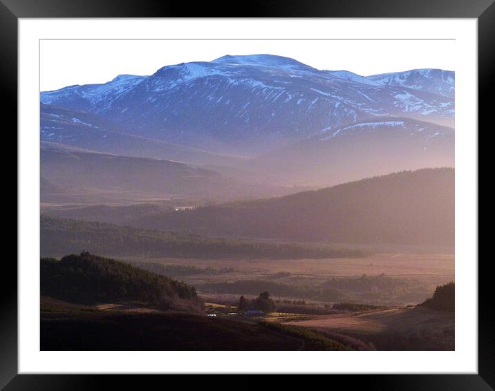 Abernethy Forest and Cairngorm -  evening shadows Framed Mounted Print by Phil Banks
