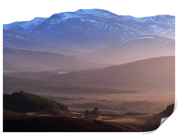 Abernethy Forest and Cairngorm -  evening shadows Print by Phil Banks