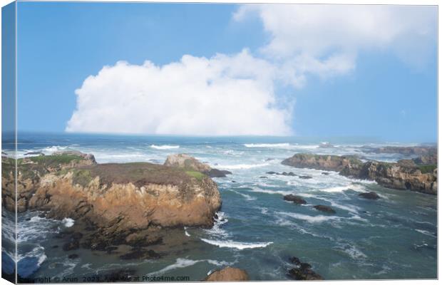 Mendocino  and Noyo headlands California Canvas Print by Arun 