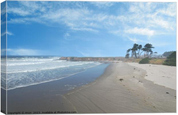 Mendocino  and Noyo headlands California Canvas Print by Arun 