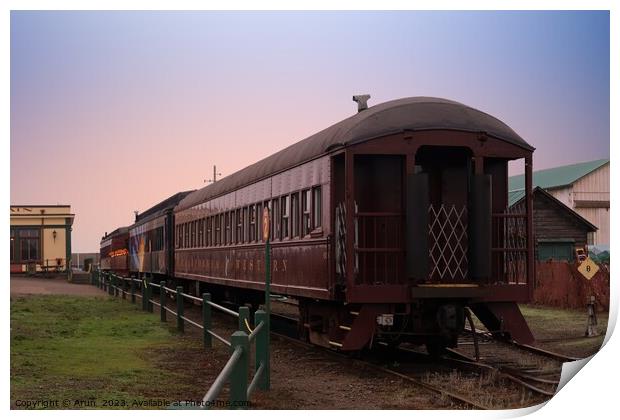 Train Museum in Mendocino in California Print by Arun 