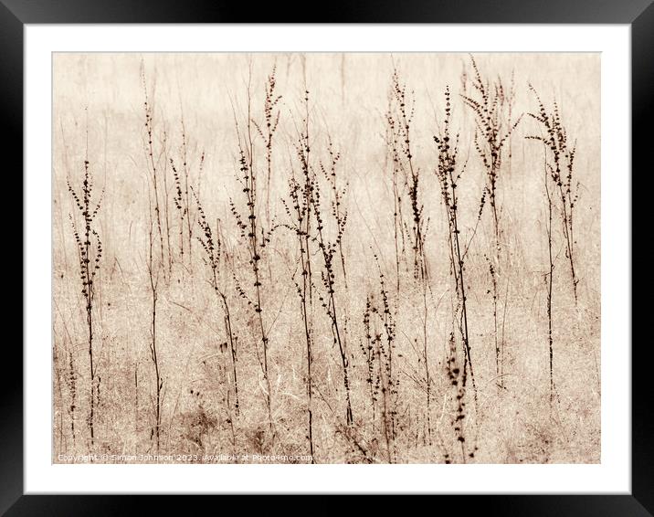 Grasses in a field monochrome  Framed Mounted Print by Simon Johnson