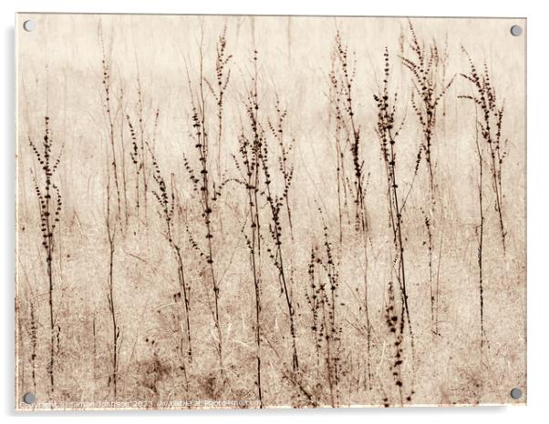 Grasses in a field monochrome  Acrylic by Simon Johnson
