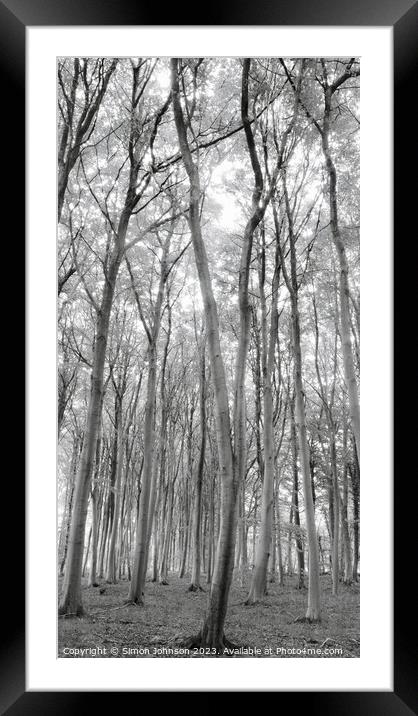 A tree in a forest Framed Mounted Print by Simon Johnson