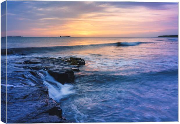 Farne Islands Seascape  Canvas Print by Anthony McGeever